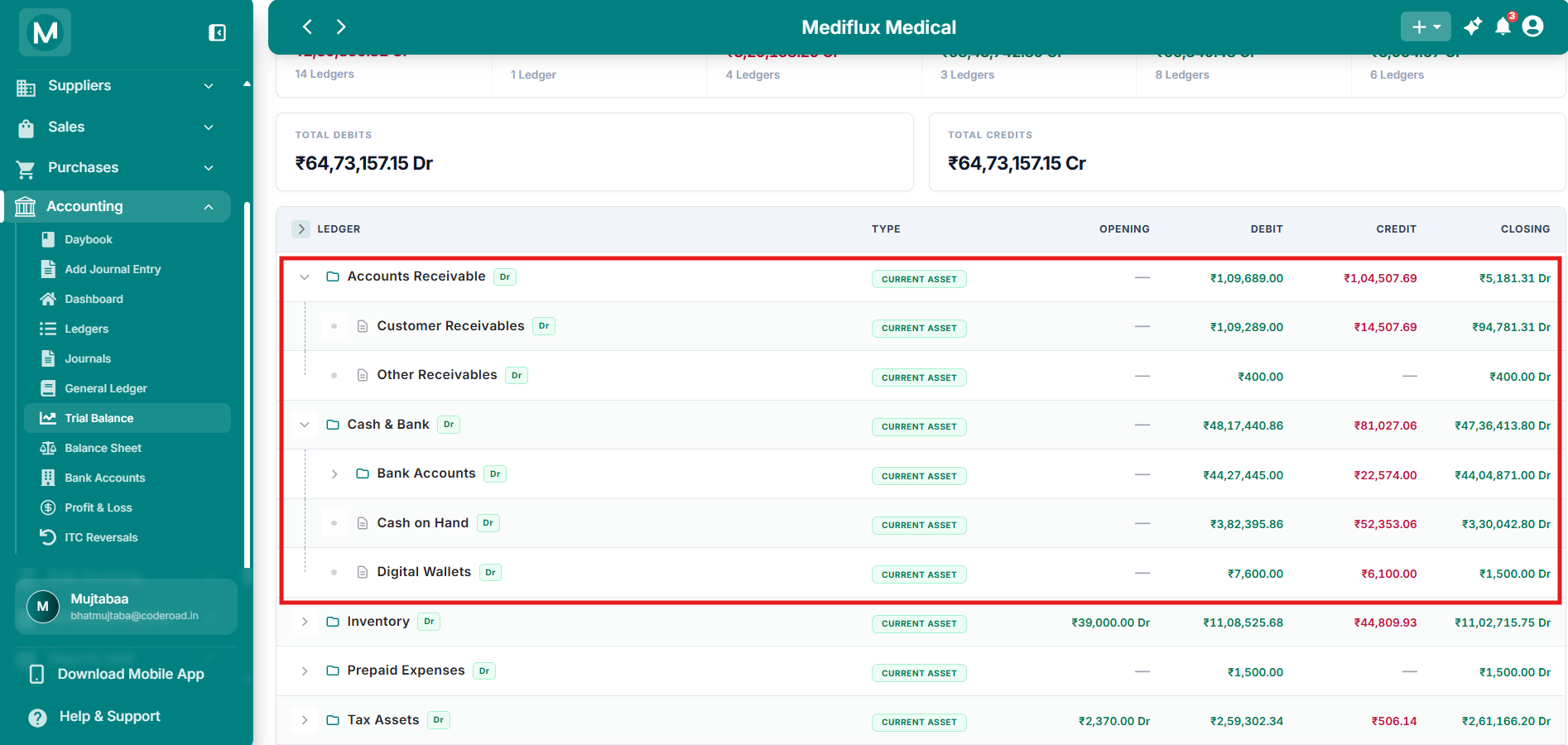 Expanded Trial Balance showing parent and child accounts with all columns